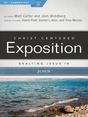 cover image of Exalting Jesus in John